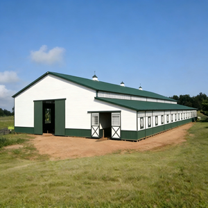 עיצוב מודרני להתאמה אישית מבנה פלדה עמיד סוס לשפוך משק בית מחסה לבעלי חיים מבנה פלדה לשפוך - Product Image 1