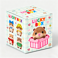 Emballage de boîtes aveugles de luxe personnalisées Boîte mystère en papier kraft pour bracelet en peluche cadeau surprise Boîte pliante écologique