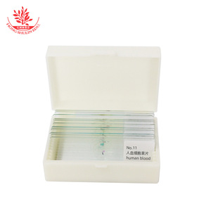 Vente en gros de spécimens biologiques sur glissière en vrac. Matériel pédagogique pour l'école primaire : 11 types de supports fins et très translucides - Product Image 1