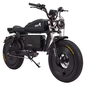 2026 Sport City Bike Commuting NFC Key Remote Control Customizable 48V Li-ion Ebike <b>Battery</b> Fairing Cover SK-2 Walfisk F - Product Image 2