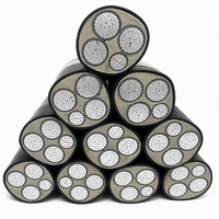 Câble d'alimentation YJLV22- 0.6/1kV 3*95+2*50 à conducteurs en aluminium, isolation XLPE, gaine en PVC, blindage en ruban d'acier, pour installation directe en terre