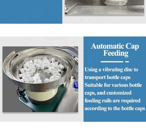 Máquina Automática de Llenado de Bolsas con Boquilla Rotatoria de Escritorio con Control PLC de 2 Cabezales para Leche, Jugo, Crema, Gel, Champú, Tapado de Alta Precisión - Product Image 6