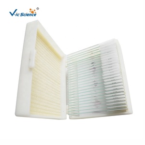 25 pièces de lames préparées pour microscope de microbiologie et mycologie, éducatives, spécimens biologiques, <span class=keywords><strong>champignons</strong></span> - Product Image 4