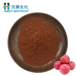 Hochreines 80% Apple Polyp henol Extract Powder