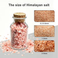 Lampe de sel de l'Himalaya très vendue, veilleuse décorative lumineuse, lampe de sel rose, les granules de sel rose sont utilisées pour les bains et les massages