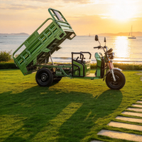 Tricycle électrique certifié CEE, capacité de charge de 585 kg, caisse de chargement de 1600 mm, autonomie de 60 à 80 km, tricycle électrique homologué pour l'Europe, autonomie de 45 km