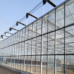Invernadero de Vidrio para Cultivo de Melocotones, Adaptable al <span class=keywords><strong>Clima</strong></span> <span class=keywords><strong>Templado</strong></span> y con Sistema de Refrigeración/Calefacción, Frutas Dulces - Product Image 2