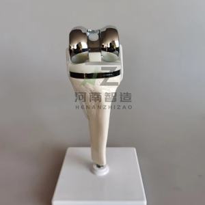 Modèle d'articulation du genou artificielle, modèle artisanal pour l'enseignement médical - Product Image 4