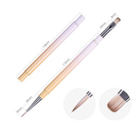 Brosse professionnelle d'art d'ongle de gel UV à double tête avec la brosse française en nylon en métal de poignée de poudre de perle pour des Use-BW69 de salon de beauté