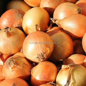 Bán hành tươi bán buôn hành tây mới hành tây vàng đỏ rau tươi - Product Image 2
