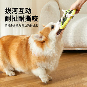 Jouets pour chiens, pantoufles sonores, jouets pour le nettoyage des dents, nœuds de corde, jouets amusants pour Corgis, chiens Teddy et chiots pour les aider - Product Image 2