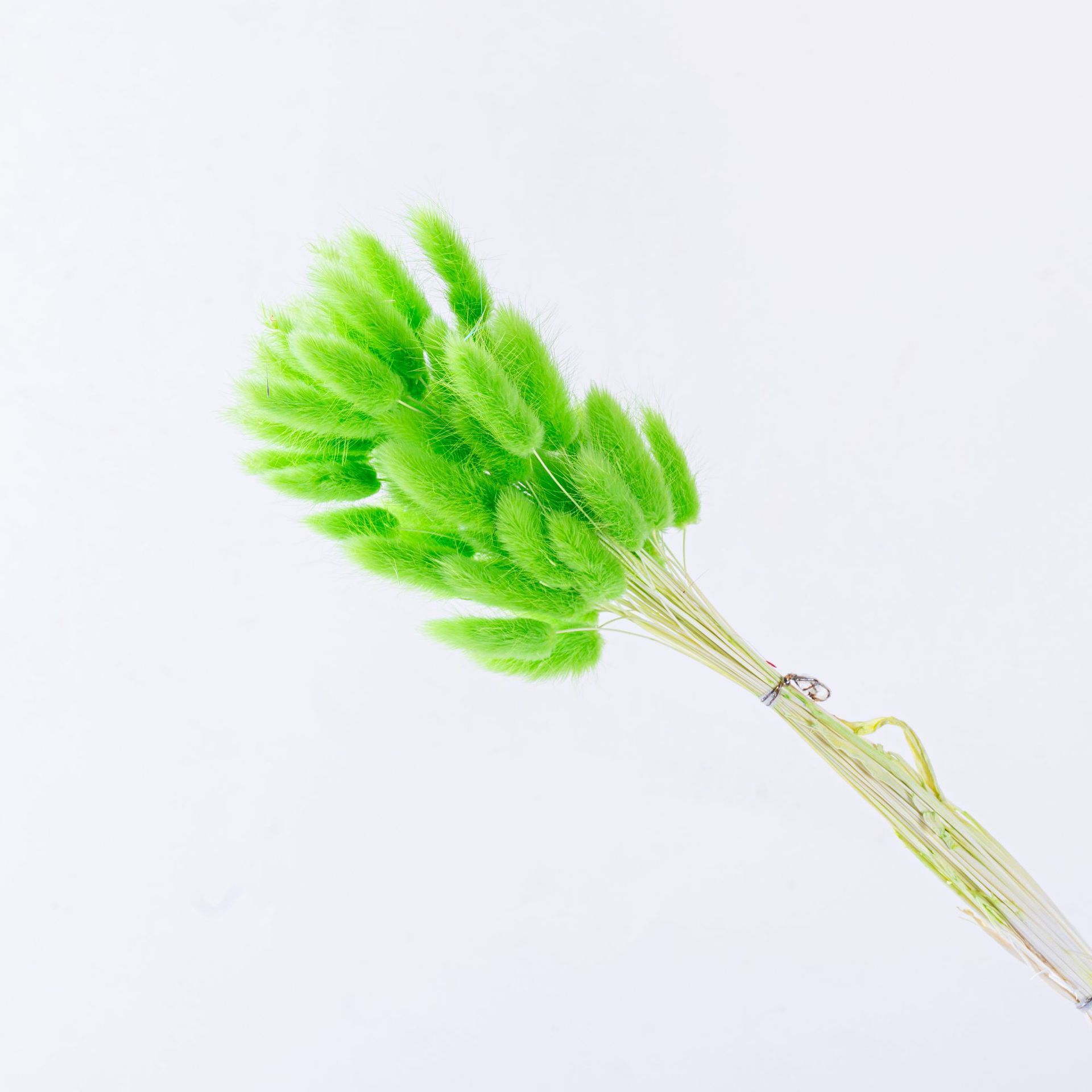 Vert clair