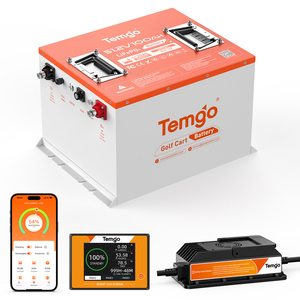 TEMGO Lifepo4 골프 카 배터리 리튬 배터리 100ah 48v 72v 36v 전기 자동차용 - Product Image 1