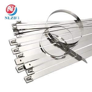 Stainless Steel Cable Tie Metal Wrap Straps 304 material Multi-Purpose 4.6*300 Zip Ties