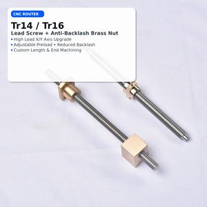 数控铣床丝杠 Tr14 Tr16 防反牙黄铜螺母，适用于高负载 X Y 轴 - Product Image 1