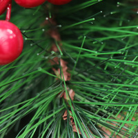 Árbol de Navidad Híbrido de PE y Agujas de Pino Premium Personalizable de 4-10 Pies, Automático, Muestreo Rápido, Decoración para el Hogar y Navidad