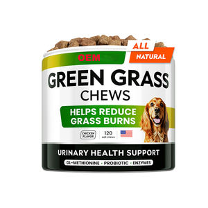 OEM/ODM erba verde morbido mastica integratori per cani da compagnia tenere erba verde supporto intestino digestivo Pet cura integratore sanitario per animali domestici - Product Image 1