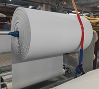 Fabricant de ruban adhésif simple double face en mousse EVA épaisse Cinta rouleau jumbo pour joint de construction coussin de porte et de fenêtre