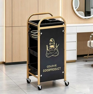 Nouveau chariot de salon de coiffure, armoire à outils intégrée haut de gamme, idéal pour les professionnels de la beauté et les influenceurs - Product Image 1