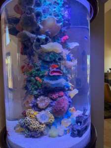 Aquarium cylindrique en acrylique transparent personnalisable 2L, décoration de luxe pour la maison, pour hôtels et aquariums ornementaux - Product Image 4