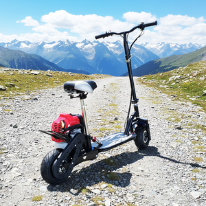 Patineta de <span class=keywords><strong>Gasolina</strong></span> Barata de 49cc/63cc en Venta, <span class=keywords><strong>Mini</strong></span> <span class=keywords><strong>Scooter</strong></span> de <span class=keywords><strong>Gasolina</strong></span> de <span class=keywords><strong>50cc</strong></span> para Adultos - Product Image 4