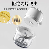 Hachoir Électrique Portable 350ml Mini pour Ail, Rechargeable USB Sans Fil, Hachoir Alimentaire de Cuisine avec 6 Lames