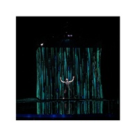 Projecteur holographique 3D portable transparent ignifuge avec cadre Spectacle de scène en direct Écran en maille de polyamide