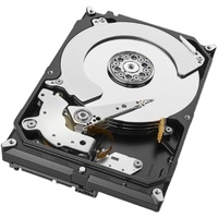 Hard Disk SkyHawk ST6000VX0023 3.5 inci 6TB 7200rpm 256MB SATA