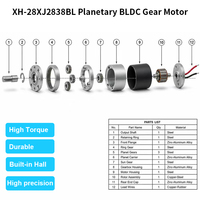 Moteur à engrenages planétaires CC sans balais XH-28XJ2838BL 12V/24V, couple élevé, capteur à effet Hall, 28mm, engrenage métallique 6mm, IP55, faible bruit, électrique
