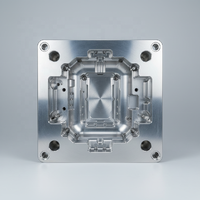 Diseño de Moldes Profesional en Dongguan, Fabricación OEM, Materiales ABS/PA66, Certificación ISO13485, Moldeo por Inyección de Plástico para Uso Médico