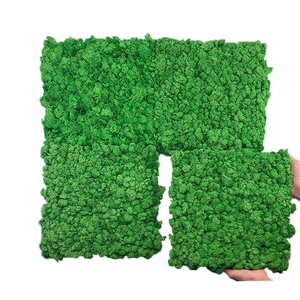 Décoration intérieure, mur végétal, décoration de bureau, plantes naturelles réelles, panneau de mousse stabilisée et préservée - Product Image 2