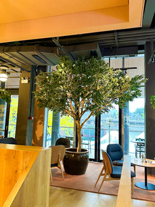 Nhân tạo Olive Tree Landing Biomimetic màu xanh lá cây thực vật trong nhà và ngoài trời cảnh quan trang trí Showcase làm giả cây Ins - Product Image 3