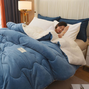 Vente <span class=keywords><strong>chaude</strong></span> Super chaud épais <span class=keywords><strong>couette</strong></span> velours lait polaire Sherpa couverture <span class=keywords><strong>couette</strong></span> pour la maison hiver utiliser - Product Image 5