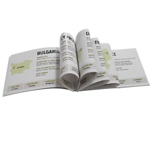 Cetak Manual Instruksi Khusus, Katalog Produk, Brosur Promosi untuk Periklanan Bisnis - Product Image 1