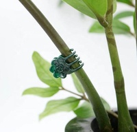 Pince d'orchidée de Support de plante