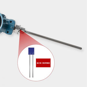 ワイヤレス温度トランスミッター <span class=keywords><strong>Pt100</strong></span> ステンレス鋼 インターネット 4G ワイヤレス温度センサー - Product Image 4