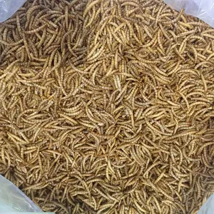 चीन कारखाने उच्च प्रोटीन के लिए सबसे सस्ता कीट फ़ीड सूखी mealworms मछली पक्षी क्रॉलर पालतू