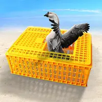 Jaula automática de plástico para transporte de aves de corral, equipo de granja para aves de corral