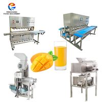 Fruit Mango Calamansi Squeezer Ananassap Extractor Machine Industriële Verse Sinaasappel Juicer Persmachine