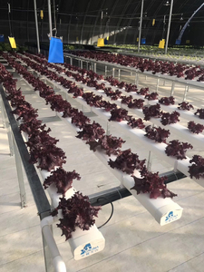 Système complet de culture hydroponique de qualité alimentaire Tuyaux de canal NFT pour laitues et légumes - Product Image 5