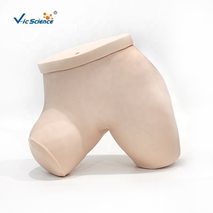 Medische Wetenschap Verpleegkunde Pvc Duurzaam Klysma Training Simulatiemodel - Product Image 5