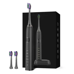 Brosse à dents électrique rechargeable de blanchiment des dents automatique adulte avec logo OEM vente en gros