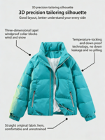 Veste d'hiver pour homme en polyester de haute qualité, sur mesure, en gros, grande taille, formelle, avec fermeture éclair