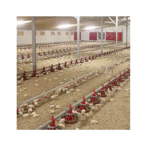 New Design Steel Structure Broiler Layer House Chicken Shed Poultry Farm Building Full Automatic