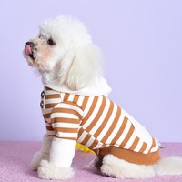 Chien et propriétaire tenues assorties vêtements pour chiens combinaison pour animaux de compagnie veste à quatre jambes accessoires tenue luxe Labubu Onesie sweat à capuche humain