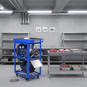 Trituratore di Ossa ad Alta Efficienza per Pesce e Pollame, Converte Pesce Intero e Strami di Pollo in Farina di Ossa Nutriente e Mix di Carne Tritata - Product Image 1