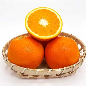 맛있는 품질 중국에서 직접 판매 공장 신선한 달콤한 감귤류 익은 만다린 오렌지