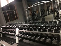 Haltères en caoutchouc ronds à prix d'usine, poids libres de 2,5 à 50 kg, ensemble de musculation en gym avec incréments de 2,5 kg
