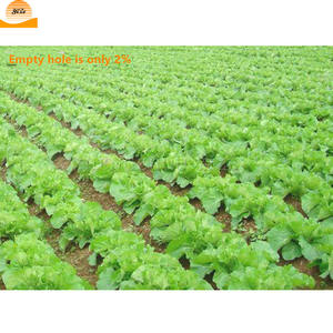 Ручная машина для выращивания семян овощей, точная сеялка, машина для посадки лука - Product Image 6