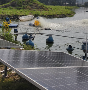Dongling YC-0.75 Solar Pond Waterwheel Aerator Pump with Engine Motor High Productivity Cast Iron Housing 380V for Aquaculture - Product Image 3